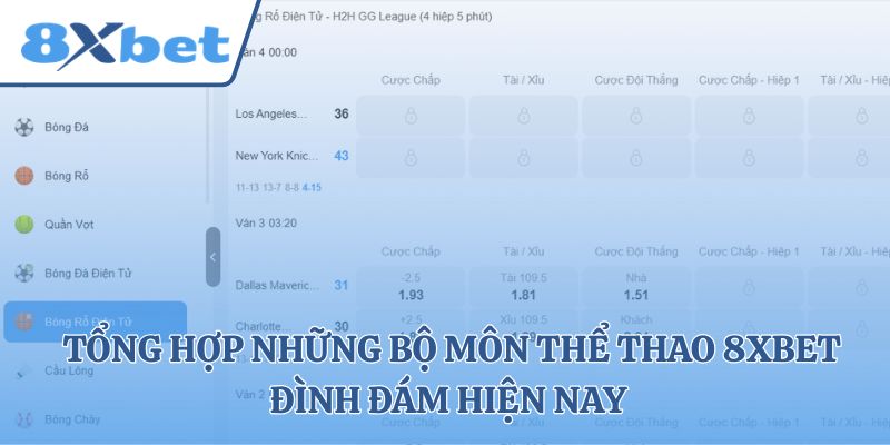 Tổng hợp những bộ môn thể thao 8xbet đình đám hiện nay 